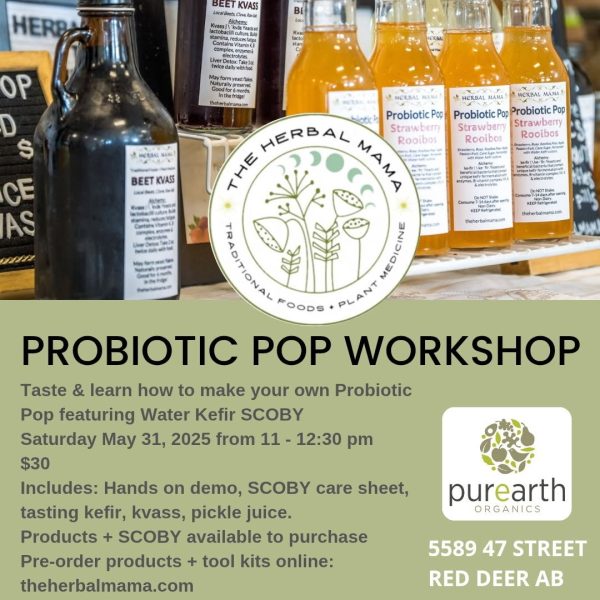 PROBIOTIC POPS WORKSHOP